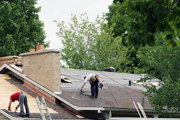 Best Storm Damage Roof Repair  in Lake View, AL
